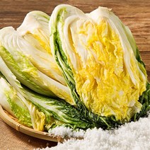 예닮골 해남 절임배추 20kg 정직한절임배추 생산자직송 김장 김치, 02월22일 발송