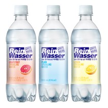 라인바싸 탄산수 3종 500ml x 20페트 500ml x 40페트, 라인바싸 탄산수 플레인 500ml 40페트