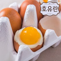 [호유란] 짜지않고 촉촉한 반숙계란 반숙란, 750g, 15개입
