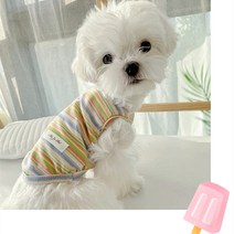 말티즈 장모치와와 말티푸 비숑 프리제 옷 스트라이프 펫 강아지조끼 테디면작 강아지고양이 포메라니안 여름원피스봄, 스트라이프 조끼 - 오렌지, m (권장 3-5.5)