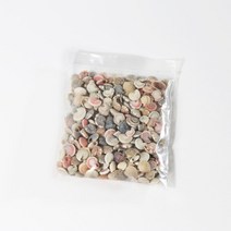 미니어쳐 달팽이조개 30g/젤캔들 테라리움