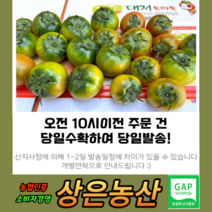 농협인증 상위1% 오리지널 대저 짭짤이 토마토 2.5kg 최상의 맛, 특 2S-3S-S 2.5kg (프리미엄과