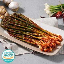 [식객명인] 전라도 여수 파김치 50년전통 김치맛집 100%국내산 쪽파김치 당일생산 식객 허영만, 1개, 1kg