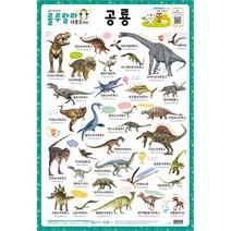 룰루랄라 사운드 양면 벽보 가나다 abc 알파벳 공룡 동물 탈것 숫자 구구단 한자 모음