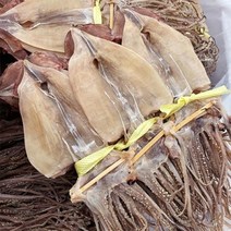 자연맛남 [자연맛남] 영덕 당일바리 건 마른오징어 5미 500g내외_국내산, 기타