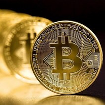 비트코인 데코 기념 장식 주화 가상 암호화폐 BitCoin, Silver