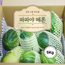 파파야 메론 5KG 경북 고령 파파야 멜론 봄 초여름 제철과일 고당도 경북 특산품, 1개