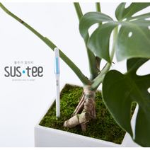 서스티 SUSTEE 식물물주기 알리미 수분측정기 가정용식물재배기 반려 거실화초, 화이트, 라지