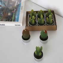 캔들공방 재료 워머 우드윅 석고 방향제 소이 테라리움 용기 미니, 6