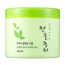 과일나라 첫물녹차 프레시 클렌징 크림, 300g, 1개