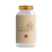 헬스앤푸드 핀란드 자일리톨 분말타입 300g, 1병