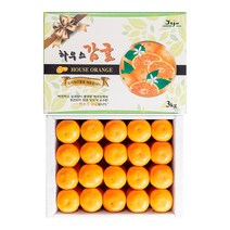 감귤 선물용 2.5kg, 단품