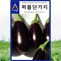 퍼플 단가지 씨앗 가지 씨 종자 50립, 단품