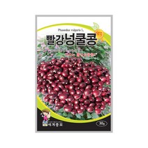 빨강넝쿨콩 30g 강낭콩씨앗 넝쿨성 울타리콩 재래종, 단품