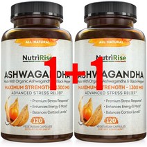 뉴트리라이즈 아슈와간다 Ashwagandha 1300mg 120캡슐 2개