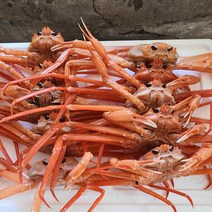 울진 동해바다의 홍게 6미 대자 2.5kg 자숙 수율 85% / 대게택배