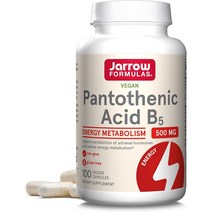 자로우 비타민 판토텐산 B5 500mg 필수비타민 100 베지캡슐 재로우, 1개, 100정