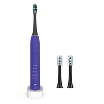 IPX7 초음파 전동칫솔 방수 D 방수 USB 충전, 자줏빛의