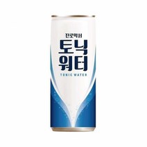 진로믹서 토닉워터250mlx30캔x2박스 탄산음료/스파클음료/청량음료/업소용음료/캔음료, 단일 총 수량