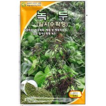 콩씨앗 모음 종자 호랑이콩씨앗 강낭콩씨앗 녹두씨앗 완두콩씨앗 작두콩씨앗, 7. 녹두씨앗