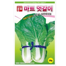 마트 엇갈이 씨앗 20g 얼갈이 배추 재배 쉽고 맛 좋음 더위 잘 견디는 내병성 종자 주말 농장 텃밭 채소 농사