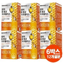 내츄럴플러스 면역 항균 프로폴리스 아연 환절기 구강 건강 씹어먹는 츄어블 6박스 12개월분, 500mg 60정 6박스, 상세페이지 참조