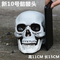 [특가행사] 해골 모형 인체 방탈출카페 방탈출 공포 공포테마 소품 용품, 신품 10호 130 노멀 헤드