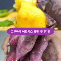 [새벽경매] 당진 베니지민 고구마 꿀고구마 3kg 5kg 호박 밤 베니하루카 다이어트 세척 고구마 자색 영암 황금 햇밤 황토 여주 한입 고구마 영암 여주 고구마 유기농 한입 못난이, 상 긴상 사이즈 3kg (로얄사이즈)