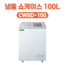 우성 업소용 아이스크림냉동고 쇼케이스 CWSD-100