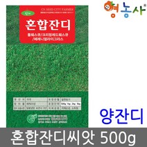 혼합 잔디씨앗 500g/ 법면 경사면 씨앗 양잔디 골프장, 혼합잔디500g