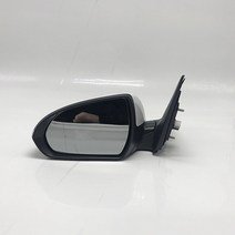 RQXR 자동차 사이드 리어 뷰 미러 led 턴 시그널 및 전기 + 수동 접이식 현대 elantra 2016, 01 electric foldable