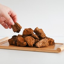 [오늘약방] 엄선된 특품 차가버섯, 300g