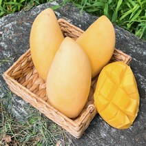 [호텔 납품] 프리미엄 태국 골드 망고 mango, 4kg (10과 내외), 1박스