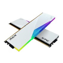 ADATA XPG DDR5-7200 CL34 LANCER RGB 화이트 패키지 (32GB(16Gx2)) PC5-57600 램 메모리 .