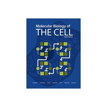 Molecular Biology of the Cell, Alberts, Bruce(저),Garland Sc.., Garland Science/BIOS Pub-Taylo