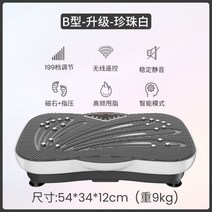 운동기구 덜덜이 가정용 피트니스 쉐이크보드 마사지 전신운동 바디슬리머 다이어트, B타입/업그레이드/진주화이트/199레벨