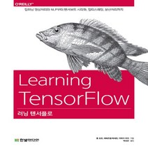 한빛미디어 러닝 텐서플로, 없음