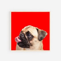 모두의팩토리 일러스트 강아지 나무액자 20종 반려견 우드 벽걸이액자 액자, AI07.퍼그