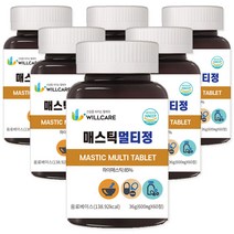 윌케어 매스틱 멀티정 캡슐 600mg x 60정, 6병