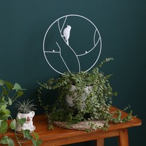 호르투스가든 데코 원형 식물지지대 2color 리스 호야 스킨답서스, BI-W 새 화이트, 1개