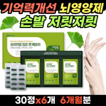 프리미엄 징코앤메모리 90캡슐x2박스 혈액순환 혈행 기억력 개선 손 발 다리 팔 저릿저릿 저림 현상 50대 60대 70대 여성 부모님 엄마 어머니 남성 징코 진코 은행잎 추출물