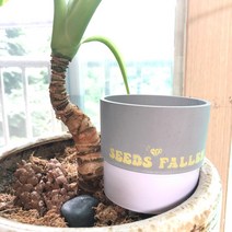 내가 만드는 인테리어 화분 DIY 페인팅 스텐실 씨앗 심기 식물 기르기, 하늘