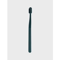 생활도감 칫솔 그린 1개입