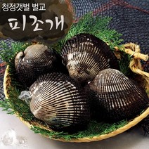 보성 벌교여자만 피꼬막 2kg (특품)/산지직송, 단품, 상세설명 참조