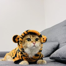 임인년 호랑이 후드티 강아지옷 고양이옷 소형견 L