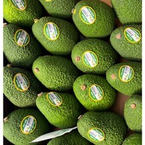 프리미엄 페루산 생 아보카도 avocado 항공직송, 2kg/대과/10개/200g~220g 내외, 10개