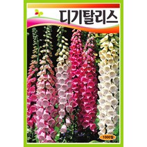 타샤튜더 정원의 꽃씨 모음., 46. 디기탈리스  혼합 1000립