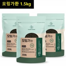 인도네시아 모링가환 드럼스틱 몰인가 모린가 모링가