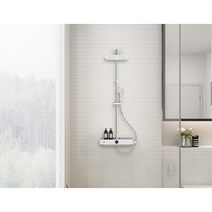 아메리칸스탠다드 심플 선반형 레인샤워 2기능 해바라기샤워 FC5788 샤워기 교체, 1개