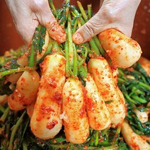 [HACCP인증] 국내산 재료로 담근 총각김치 알타리 1kg 2kg 3kg 5kg, 10kg, 1개